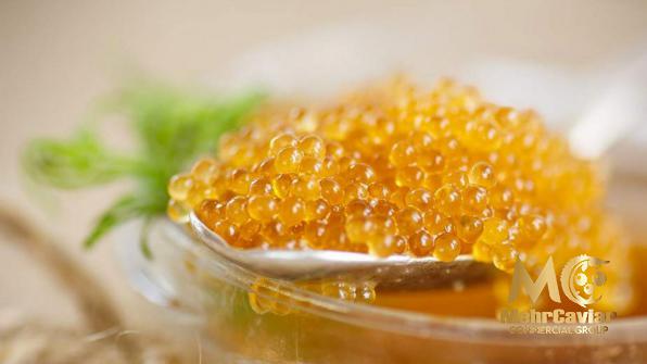 Where Does Gold Caviar Come From?