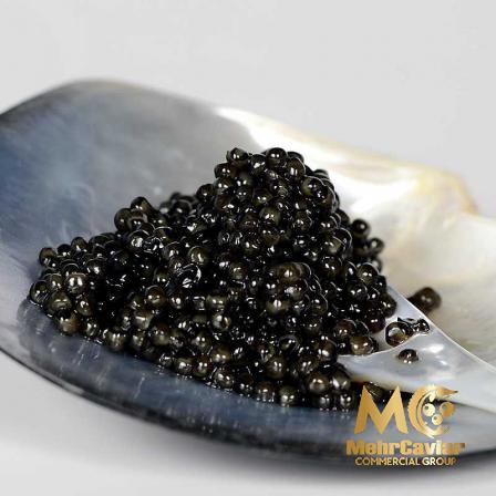 What Is the Source of Beluga Caviar?