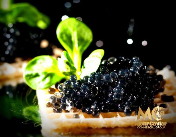 Where Does the Best Black Caviar Come From?