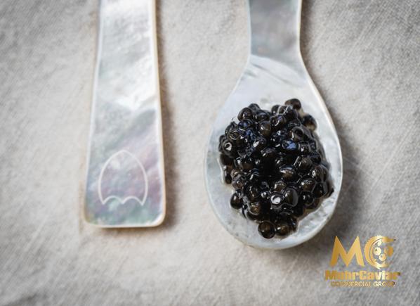 What Is the Most Expensive Kind of Caviar?