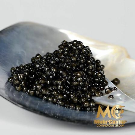 How to Farm Caviar to Get the Best Quality?