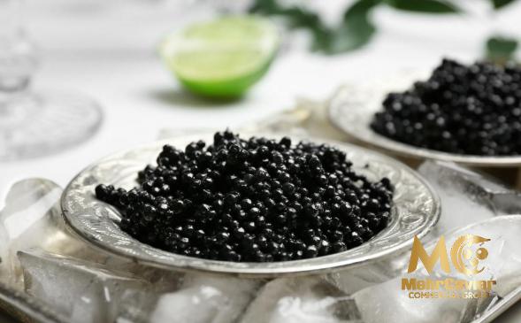 the Best Suppliers of Quality Caviar