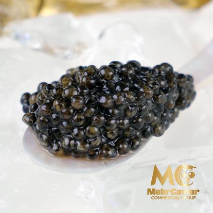 Widespread Distribution of the Best Osetra Caviar