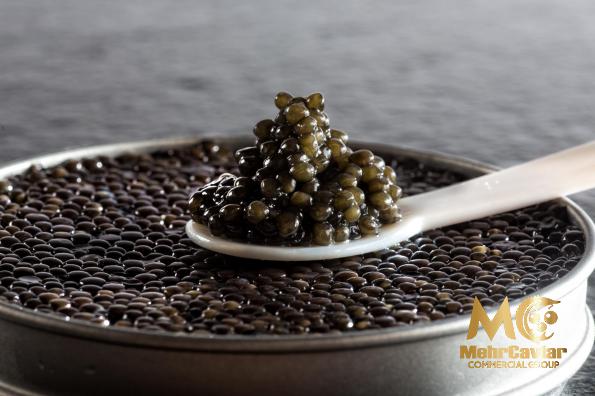 What Is  Special about Osetra Caviar ?