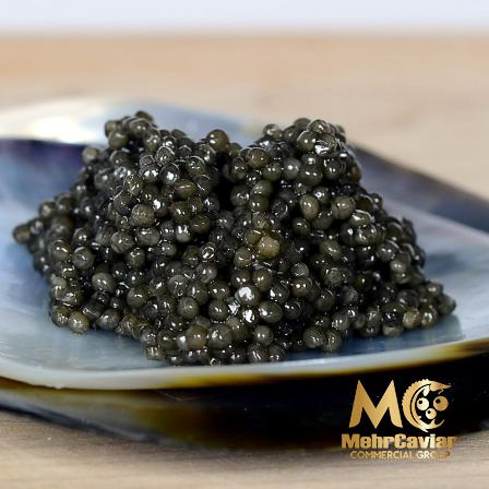 Buying the Best Osetra Caviar in Bulk