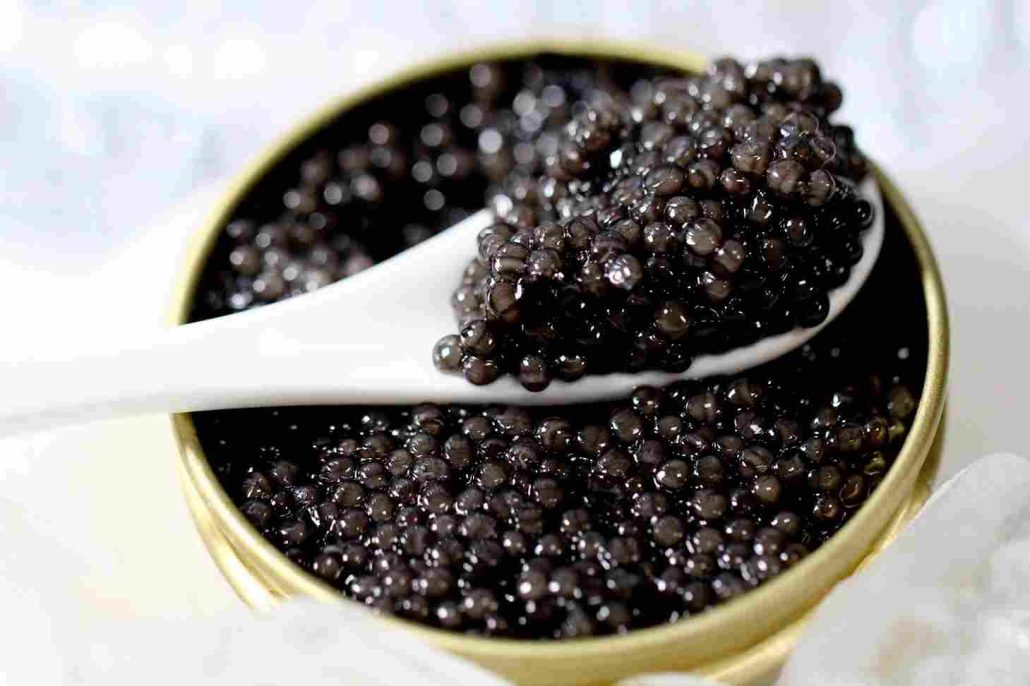 Gourmet Sterling Caviar Wholesale Price