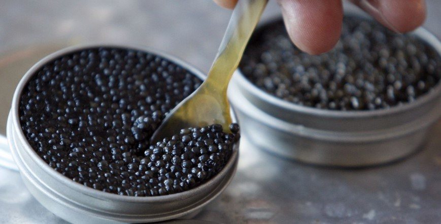 Fresh caviar best selling