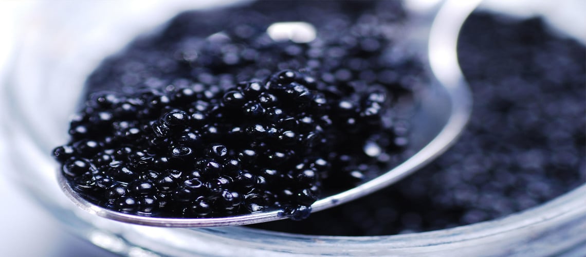  caviar nutrition price + the best purchase day price of caviar nutritionwith the latest sale price list 