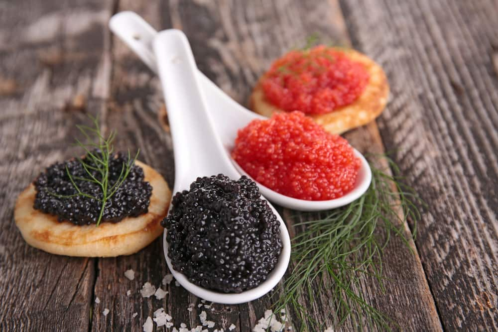  caviar nutrition price + the best purchase day price of caviar nutritionwith the latest sale price list 