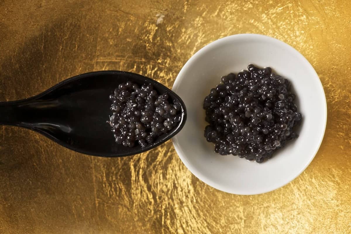  Getting to know black caviar + the exceptional price of buying black cavia 