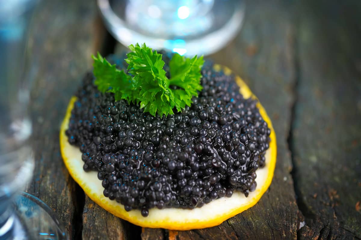  Getting to know black caviar + the exceptional price of buying black cavia 