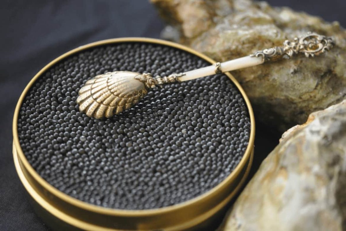 caviar taste like + purchase price, use, uses, and properties