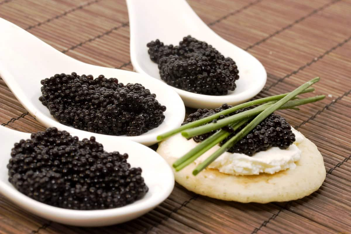  caviar taste like + purchase price, use, uses, and properties 