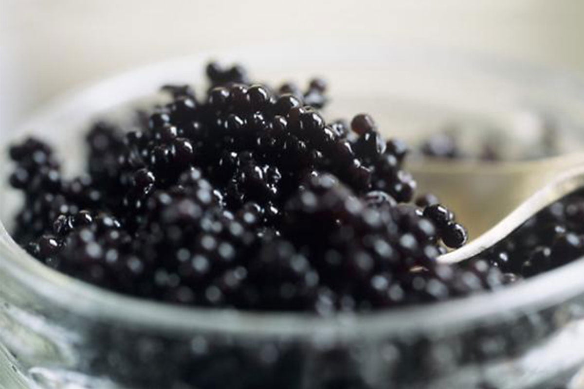  caviar taste like + purchase price, use, uses, and properties 