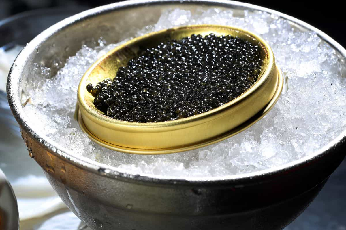  caviar taste like + purchase price, use, uses, and properties 