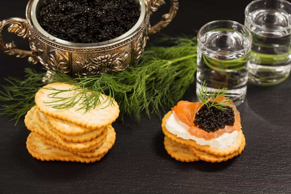  caviar taste like + purchase price, use, uses, and properties 