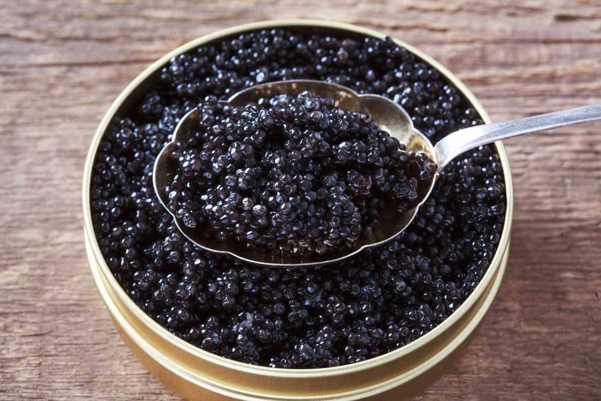  caviar taste like + purchase price, use, uses, and properties 