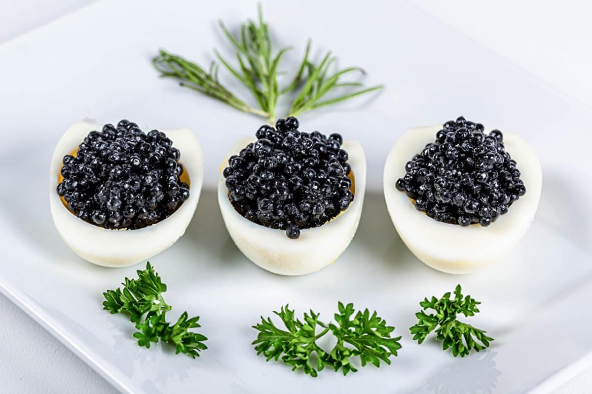  caviar taste like + purchase price, use, uses, and properties 