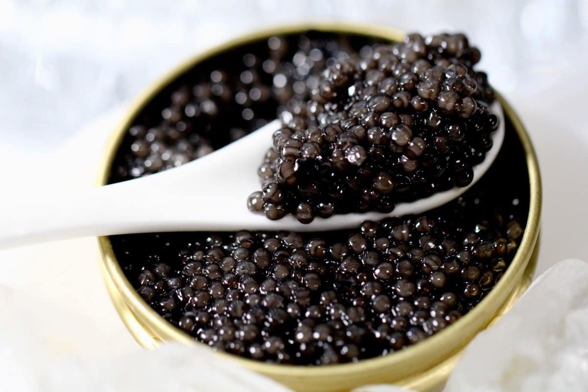  caviar taste like + purchase price, use, uses, and properties 