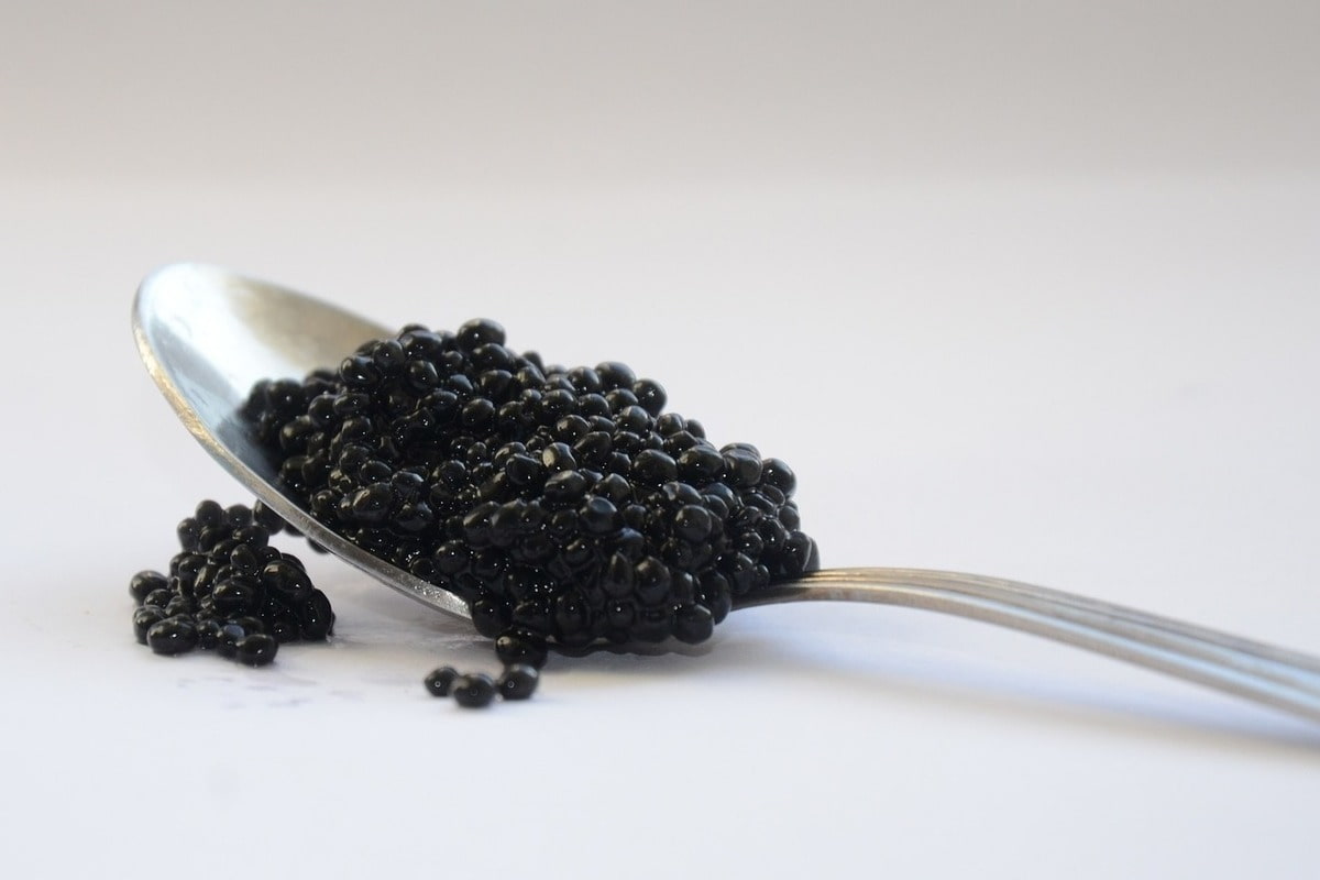  caviar taste like + purchase price, use, uses, and properties 