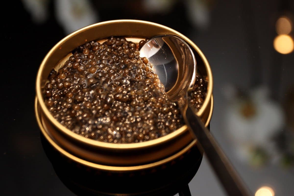  caviar taste like + purchase price, use, uses, and properties 