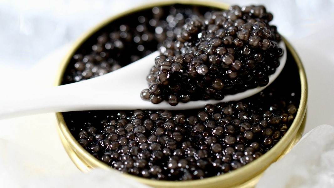  The price of beluga Petrossian caviar from production to consumption 