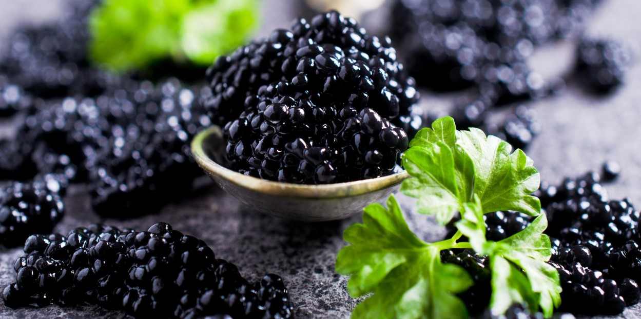  The price of beluga Petrossian caviar from production to consumption 