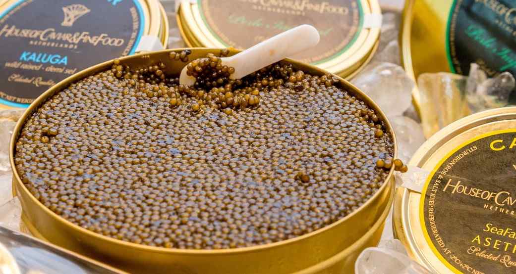  The price of beluga Petrossian caviar from production to consumption 