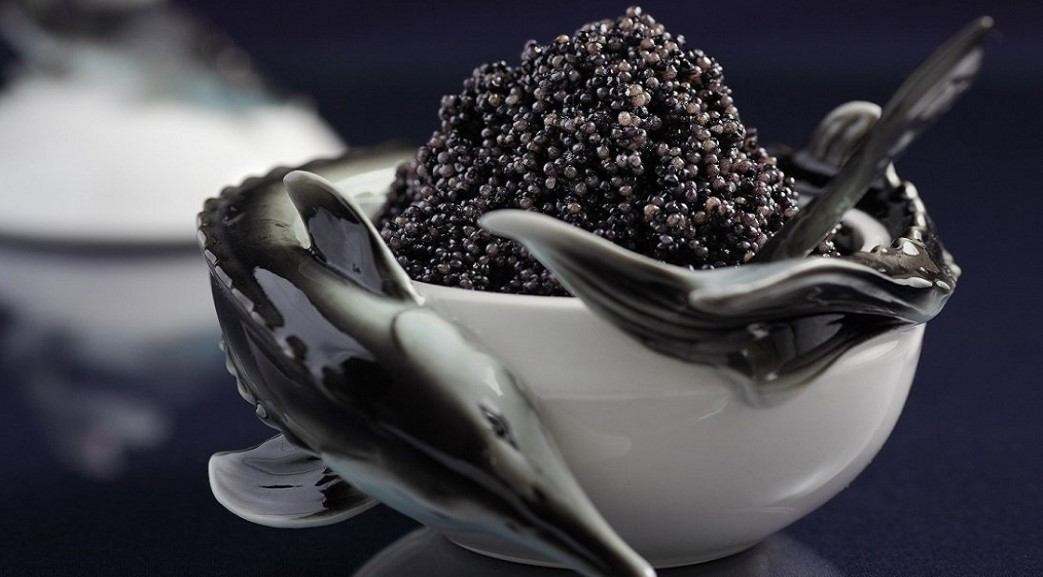  The price of beluga Petrossian caviar from production to consumption 