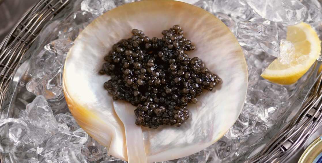  The price of beluga Petrossian caviar from production to consumption 