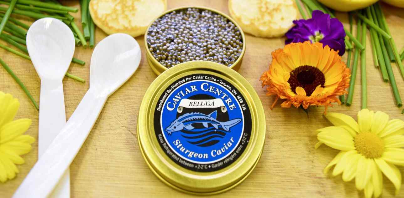  The price of beluga Petrossian caviar from production to consumption 