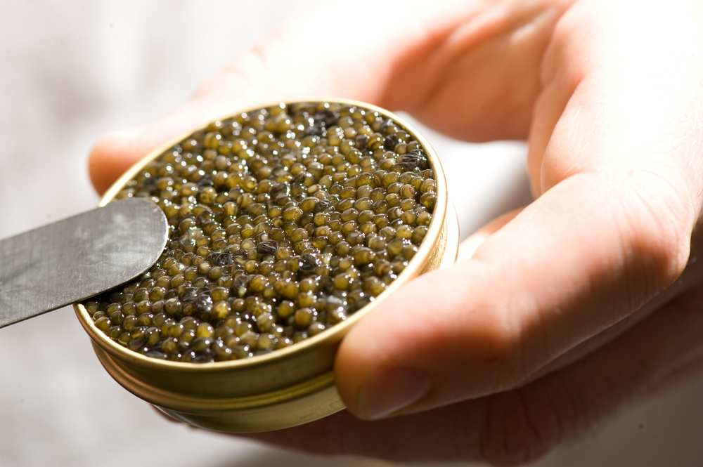  purchase and price of gourmet sterling caviar types 