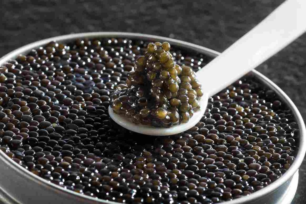  purchase and price of gourmet sterling caviar types 