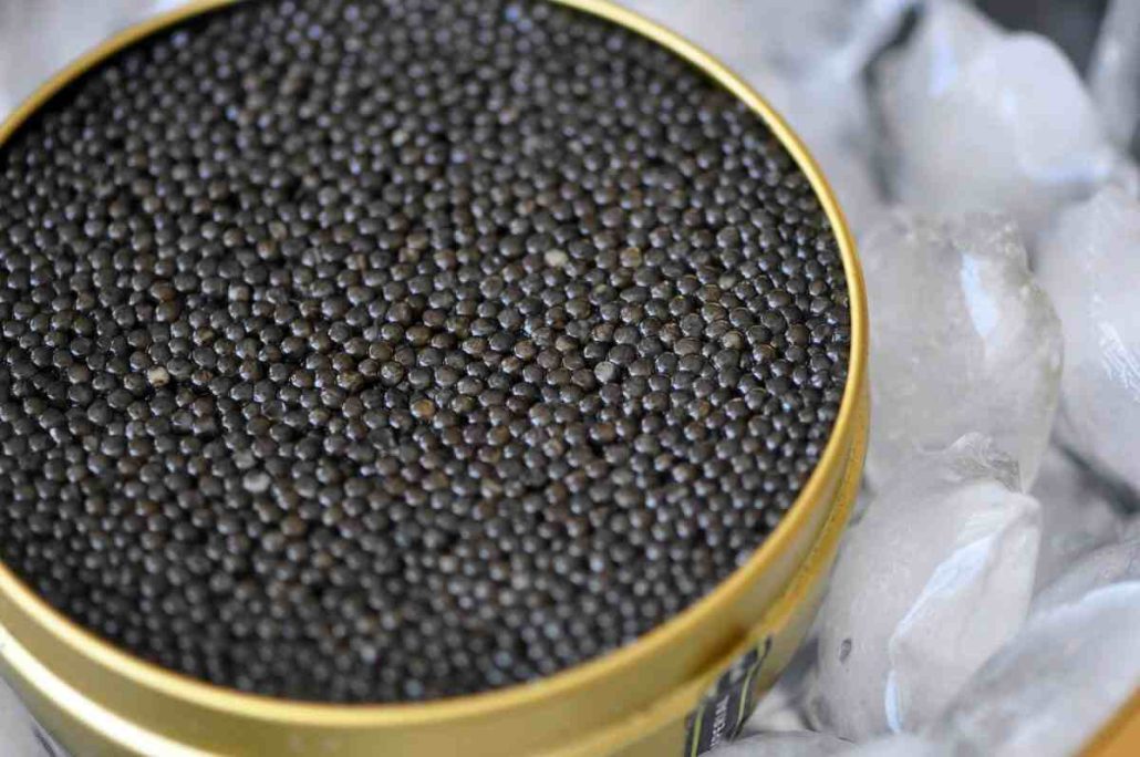  purchase and price of gourmet sterling caviar types 