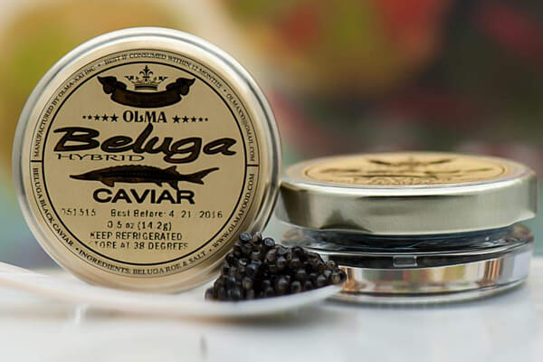 Buy the best types of Beluga Caviar at a cheap price