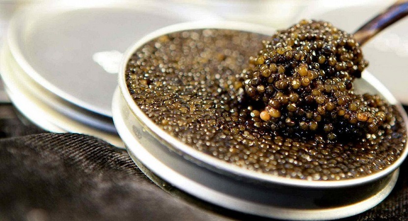 Buy the latest types of almas caviar price