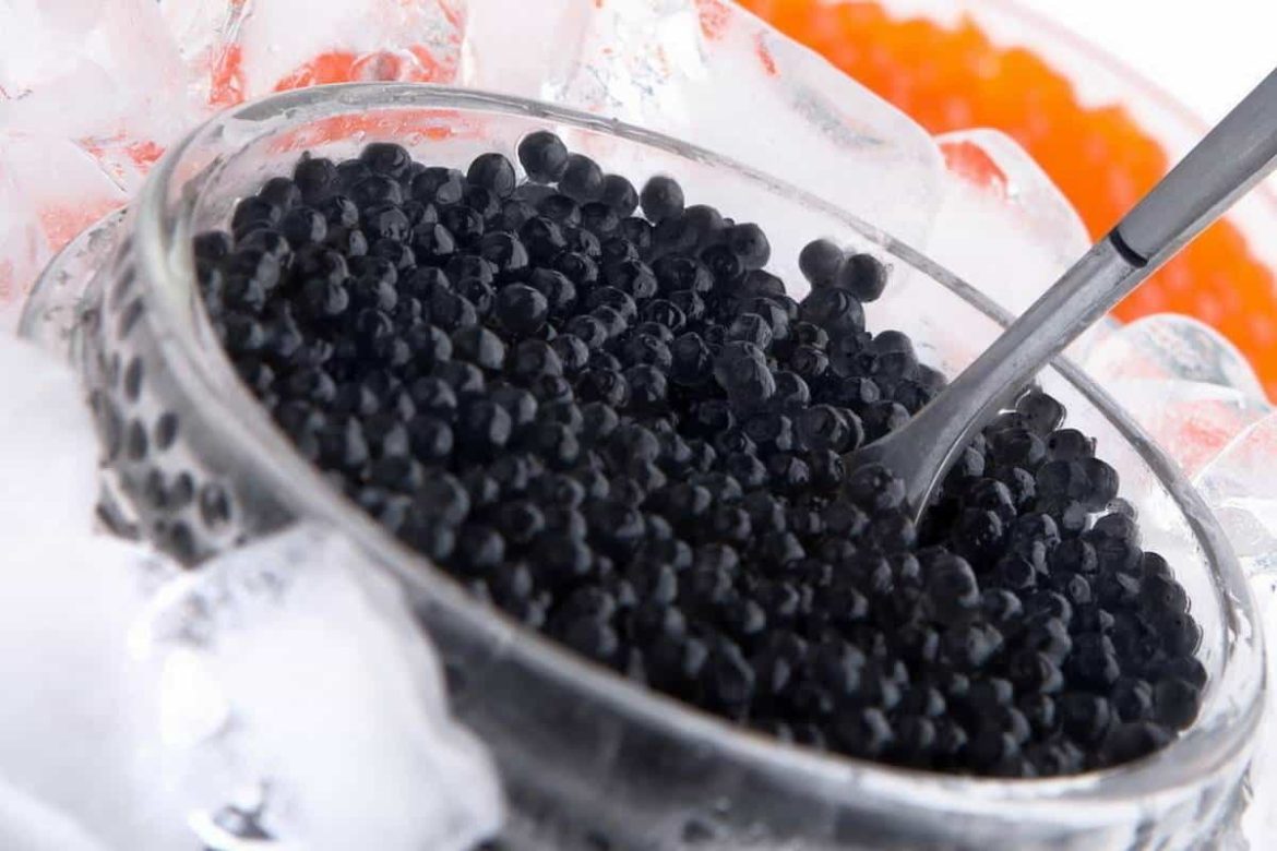 Kaluga caviar at reasonable price