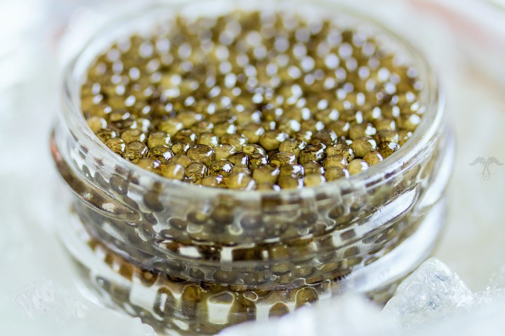  Buy the latest types of almas caviar price 