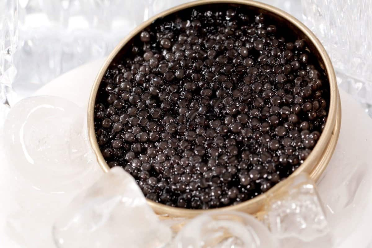  Russian Beluga Caviar; Buttery Salty Fishy Flavor B12 B6 A E Iron Magnesium Nutrition 