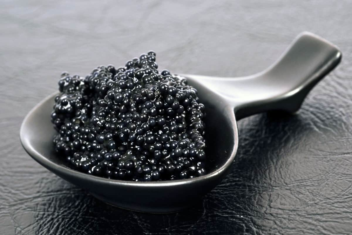  Russian Beluga Caviar; Buttery Salty Fishy Flavor B12 B6 A E Iron Magnesium Nutrition 