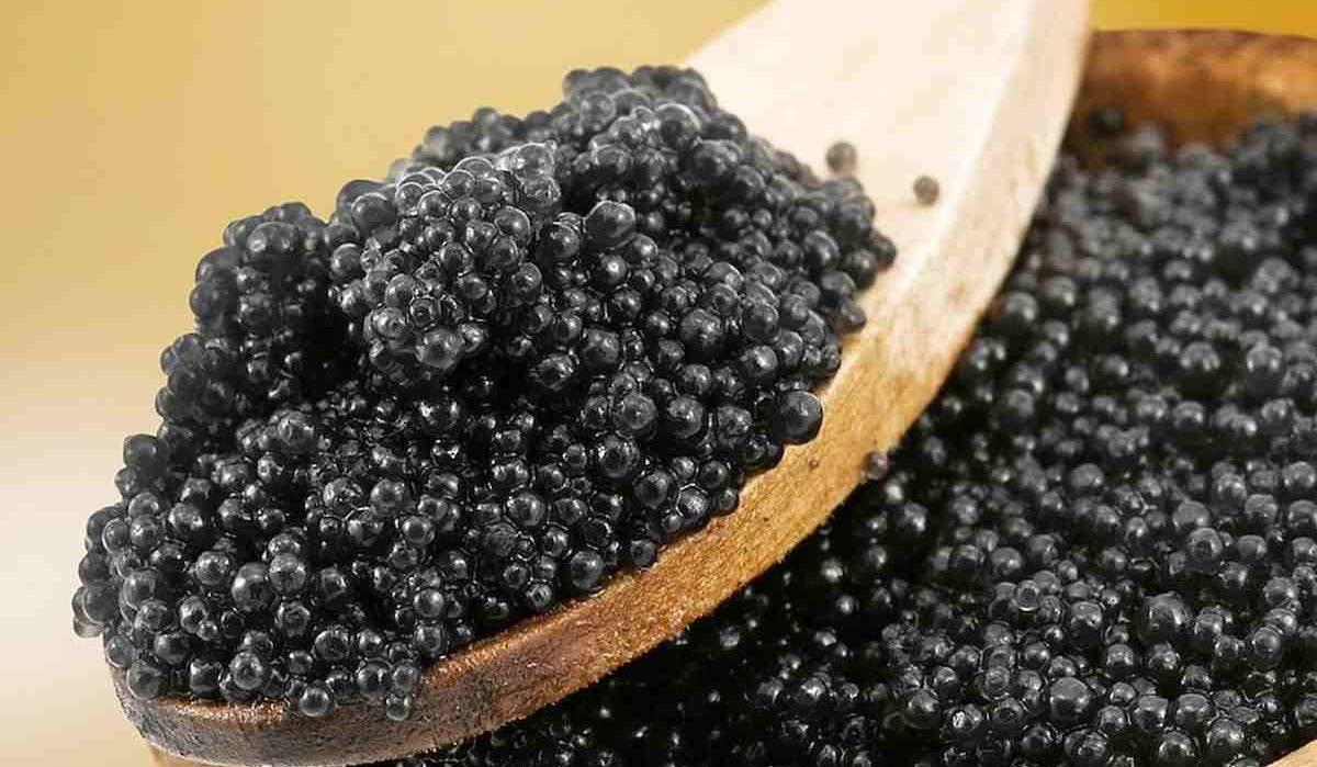  Purchase price Suruga Caviar + advantages and disadvantages 