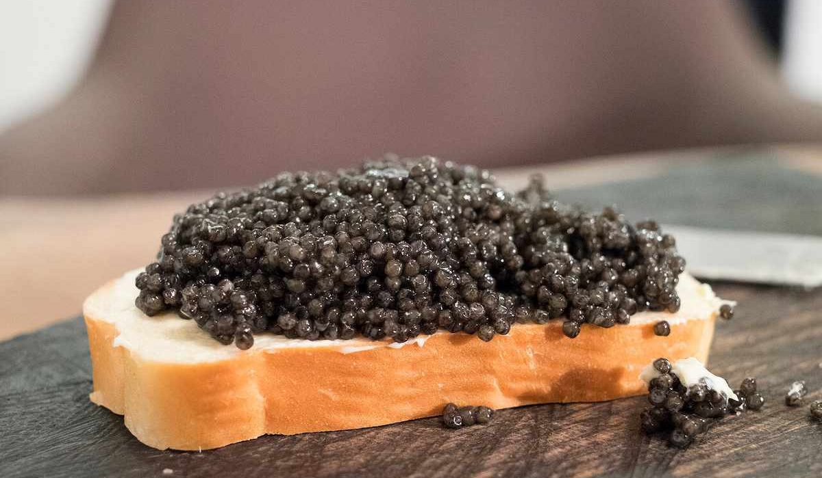  Purchase price Suruga Caviar + advantages and disadvantages 