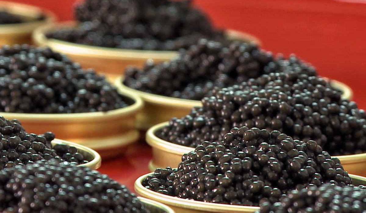  Purchase price Suruga Caviar + advantages and disadvantages 