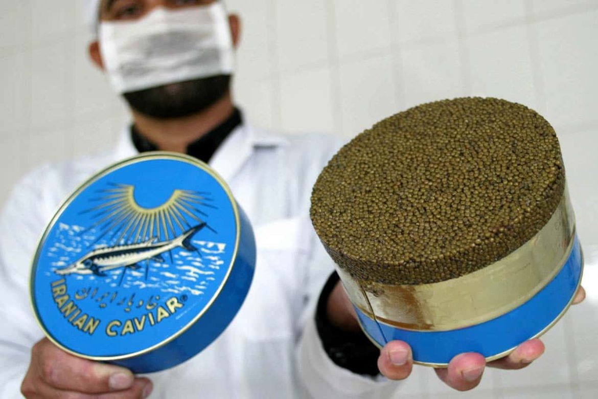 Buy the best types of Iranian Caviar at a cheap price