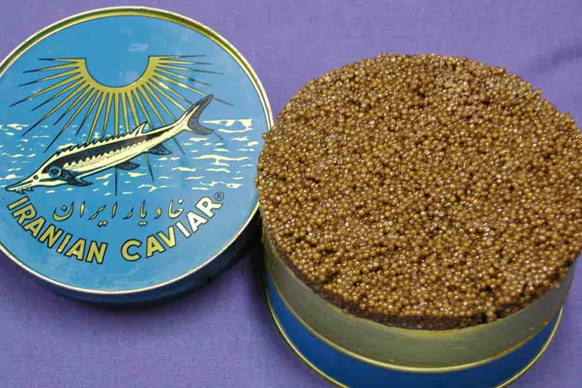  Buy the best types of Iranian Caviar at a cheap price 