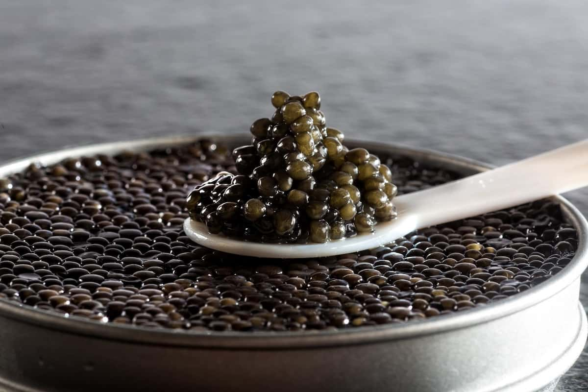  Buy the best types of Iranian Caviar at a cheap price 