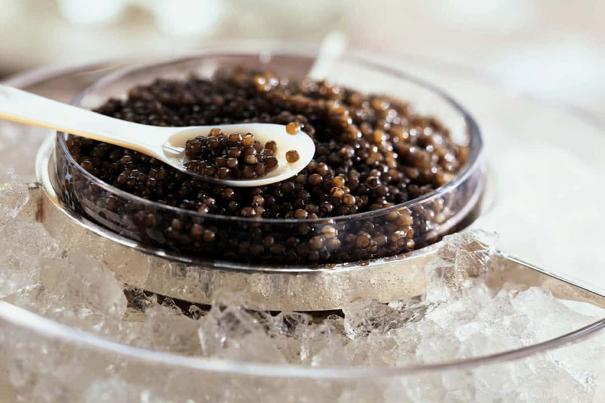  Buy the best types of Iranian Caviar at a cheap price 