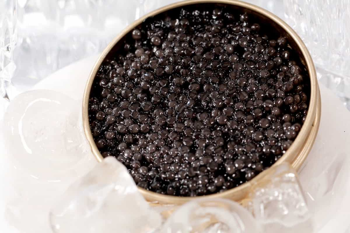  Buy the best types of Iranian Caviar at a cheap price 