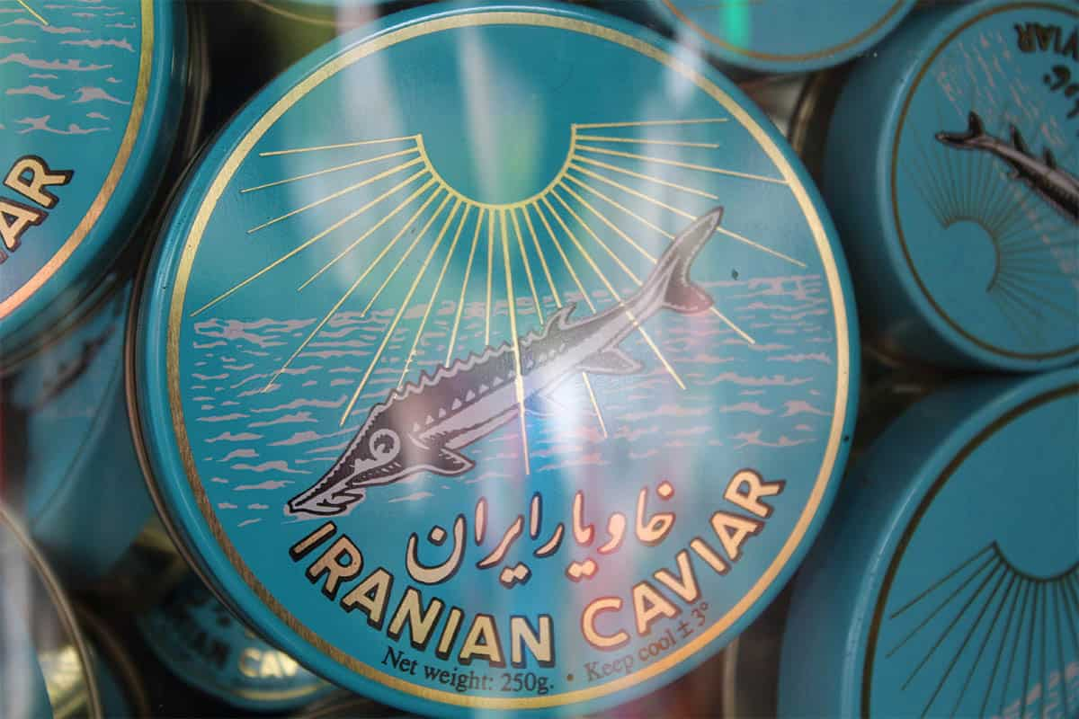  Buy the best types of Iranian Caviar at a cheap price 