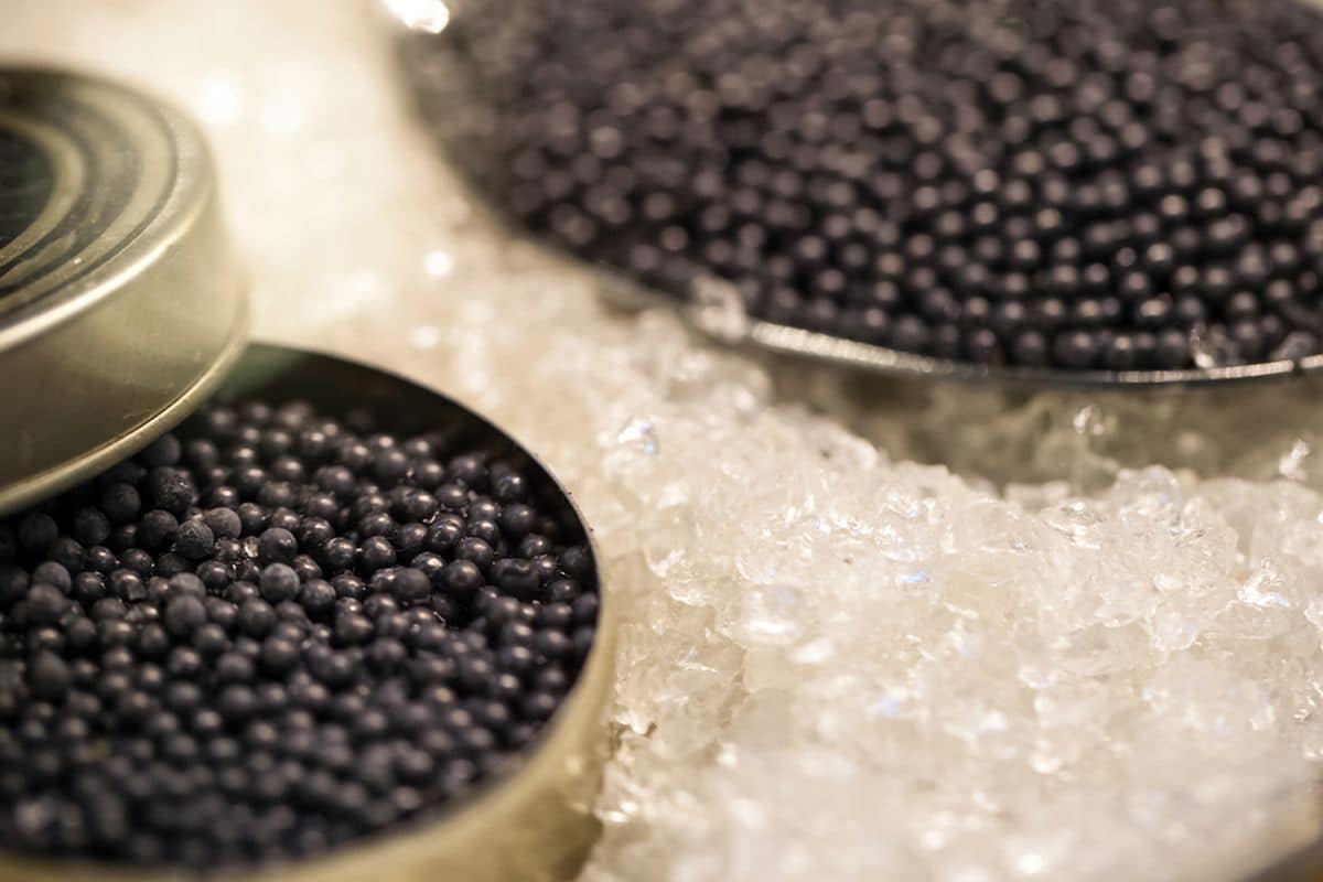  Simple Beluga Iranian Caviar | buy at a cheap price 